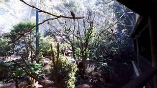 3 Best Hiking Trails in Newcastle, NSW - ThreeBestRated