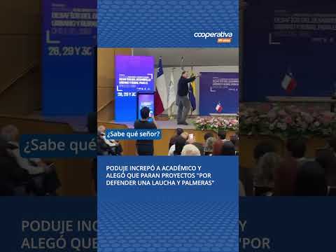 Iván Poduje increpó a académico y alegó que paralizan proyectos "por defender una laucha y palmeras"