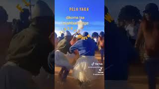 Download lagu Pelo yaka mp3