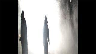 EASYKID - FENTANYL (Official Video)