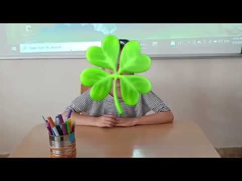 ŞCOALA GIMNAZIALĂ Nr.1 Valea Seacă structură a Școlii Gimnaziale ”Nicolae Bălcescu” Student