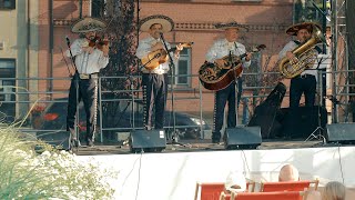 Fontanna Muzyki - Viva Mexico!