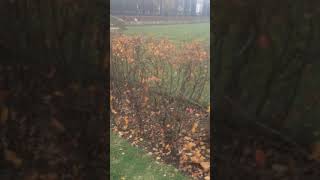 Поход в Русский музей!!!🤳