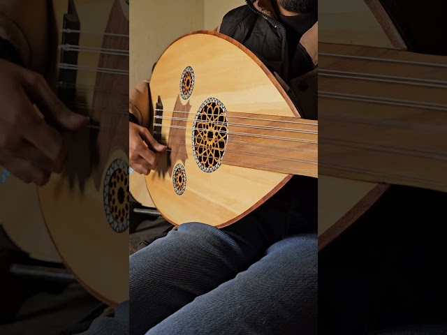 عود نص لوكس