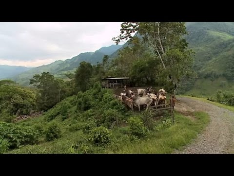 Die vergessene Heimat - Pozuzo, Peru 2012