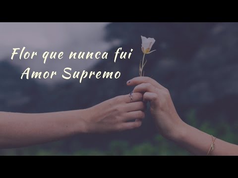 Flor Que Nunca Fui video