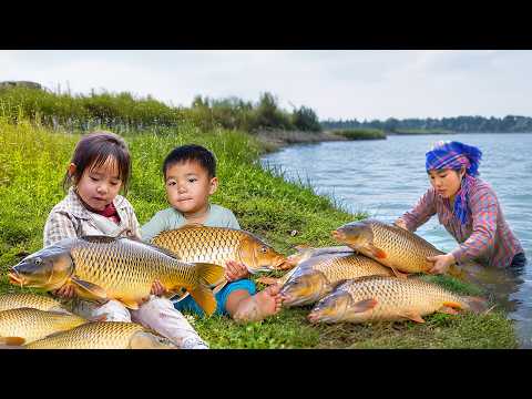 Surprising Results from Traditional Fishing Methods | Duong Family’s Big Fish Catch | Village Life