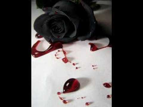 Inner Circle - Black Roses (With Lyrics)