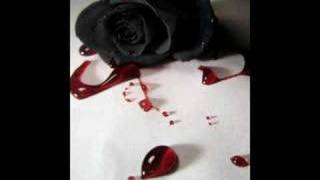 Black Roses Music Video