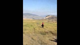 Joel aka Guido rides again