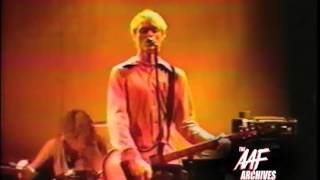 Black Lab &quot;Wash it Away&quot;