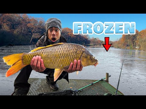 Caught My Biggest Carp in a Frozen Lake