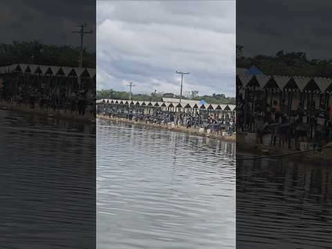 CLUBE PESCAR LUZIÂNIA GOIÁS CIRCUITO GOIÁS DE PESCA ESPORTIVA