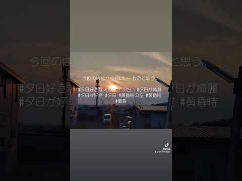 日本文化学科 今日はなかなかいい夕日が撮れた。