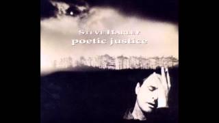 Steve Harley   That's my Life in your Hands