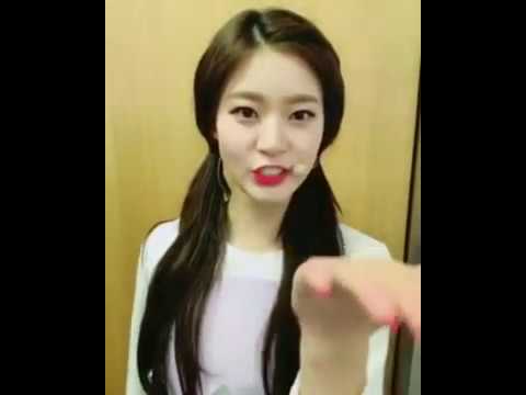 170127 D.ana - Instagram Video