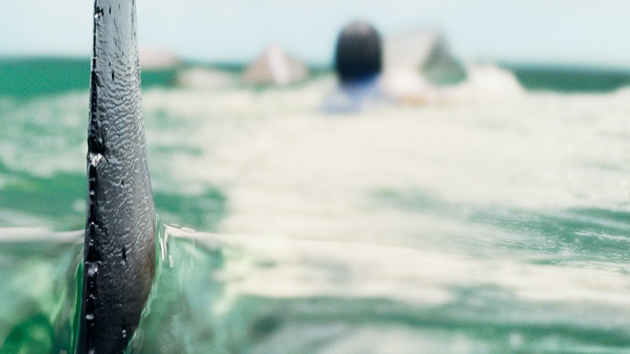 Deep Water | Teaser Trailer - YouTube