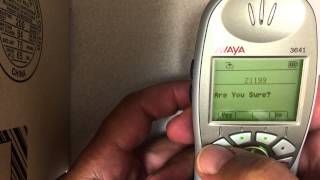 Changing extension number on Avaya 3641 wireless phone