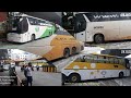 VRL Volvo SRS Scania And TSRTC Scania Horn In Bengaluru