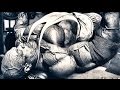 RONNIE COLEMAN TRAIN LIKE A BEAST EAT LIKE A MONSTER