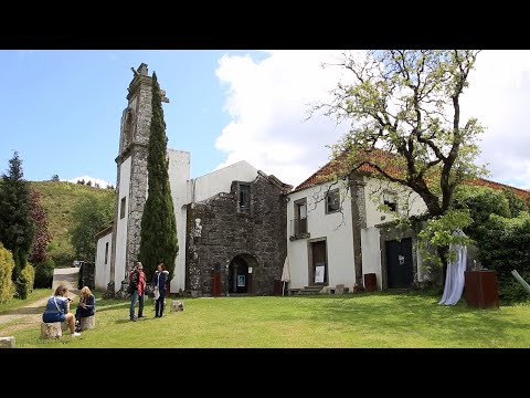 Dia Internacional dos Museus 2019