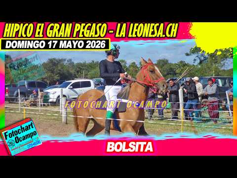 BOLSITA La Leonesa CH 17 06 2026