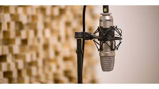 Extreme - Rock A Bye Bye (nuno Solo) (vocals backing track)