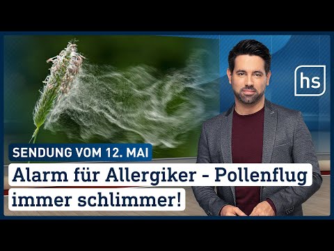 Alarm für Allergiker - Pollenflug immer schlimmer | hessenschau vom 12.05.2022