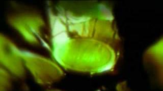 Anathema - Hope
