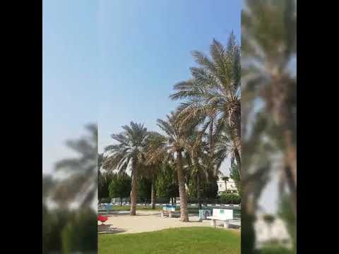 Kygo / Could you carry me 💯