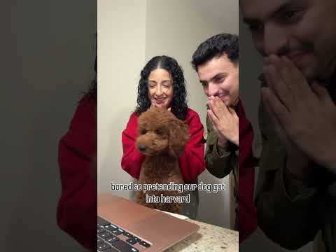 Zakee’s HARVARD admission acceptance letter reaction 🤣🤣