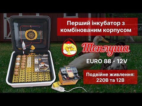 Інкубатор Автоматичний Теплуша Euro 88 ТАВ 12/50 комбінований корпус! Новинка! Розпаковка і огляд