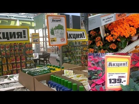 Магазин Оби Чертаново