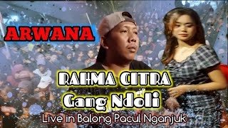 Download lagu GANG NDOLI - Rahma Citra | Cak Malik | ARWANA | CR Pro Audio | Live in Balong Pacul Nganjuk mp3
