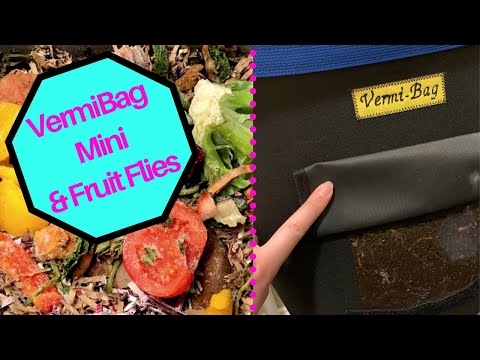 The VermiBag Mini Has a Fruit Fly Infestation #crap