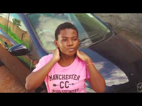 THA PLOT - PEBBLE STONE (Visualiser)