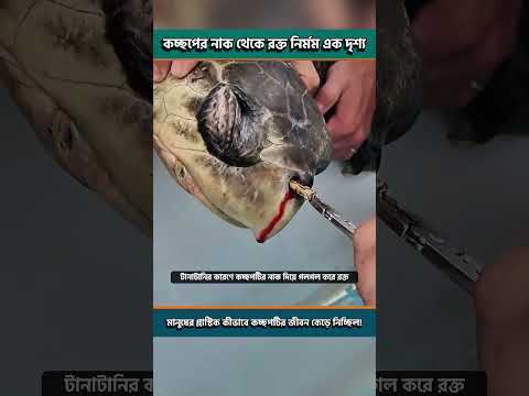 মানুষের এই নিষ্ঠুরতা দেখলে আপনারও চোখ ফেটে জল আসবে 😭 #shorts