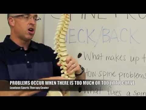 WHITEBOARD WEDNESDAY: What makes our spines?