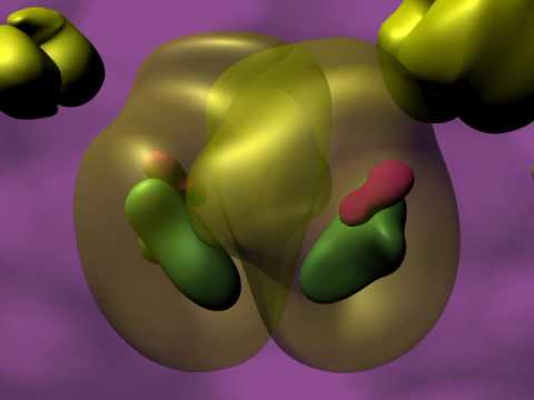 The Estrogen Receptor (II): Molecular & Cellular Mechanisms - YouTube