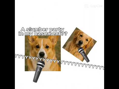 Kesha with dogs #kesha #shorts #dogs #dogtok #fyp