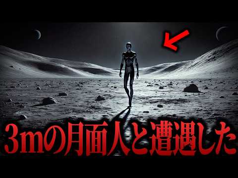 エリノメについて詳しく解説