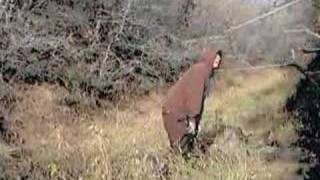 THRICE - Music Box - (Music Video)