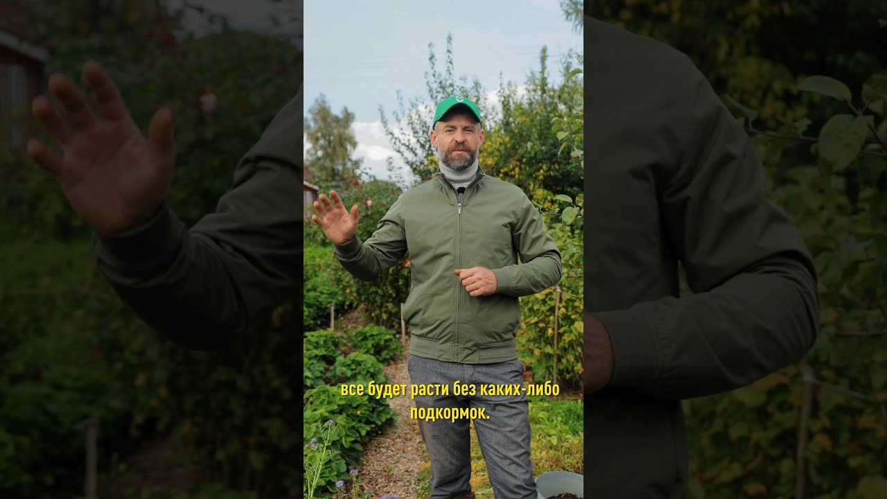 Надоело копать огород каждую осень? Делаю так один раз и всё растет даже без подкормок!