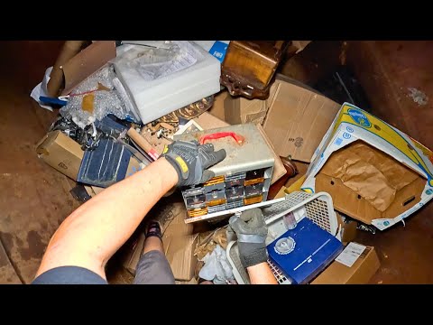 Dumpster Diving "Babies & Bricks"
