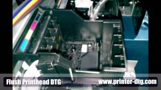 preview picture of video 'How To Flush DTG Printer Printhead'
