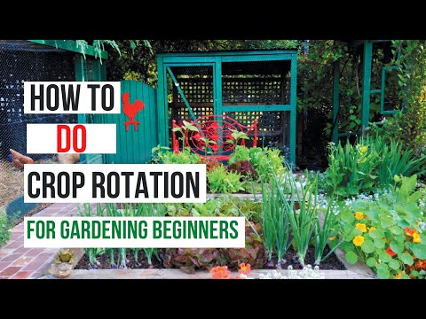 Easy Crop Rotation Made Simple || Rotate Your Plants for Healthier Produce