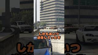 ❛ これがグランドセフトオート…逆走NPCを追いかけた結果… ❜