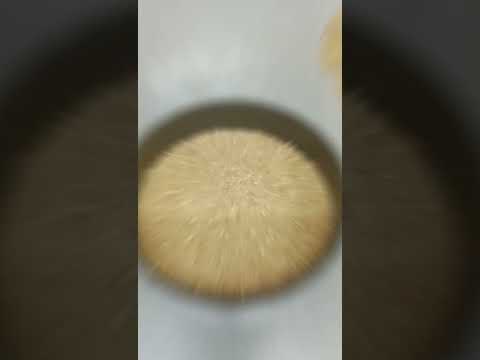 "Indulge in Every Slice: Join me on a Decadent Journey of Cheesecake Creations! 🍰✨ #CheesecakeMagic"