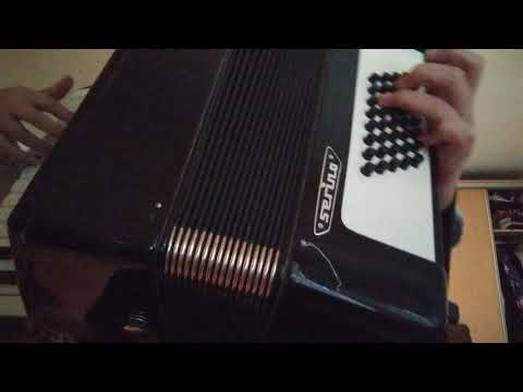 Sviranje harmonike - PRIMORSKE STAZE