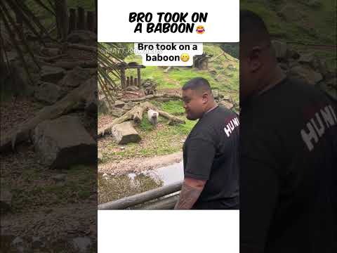 Bro Took On A Baboon 😂 #funny #shorts #comedy